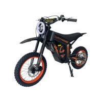 Электропитбайк Kugoo Wish 01 SE 48V 20.8Ah 1500w 